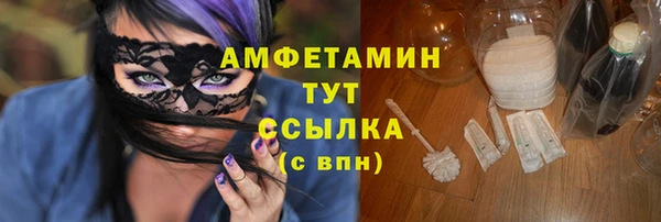 шишки Богородицк