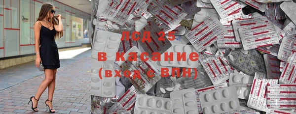 шишки Богородицк