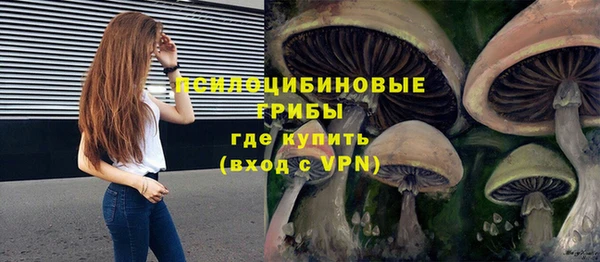 прущая мука Белокуриха
