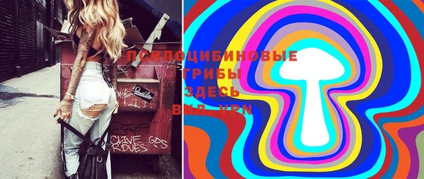 прущая мука Белокуриха