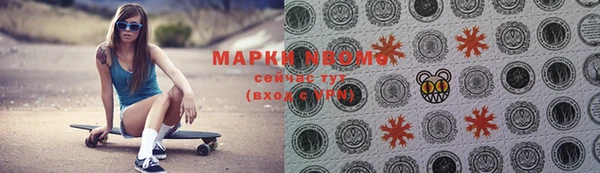 шишки Богородицк