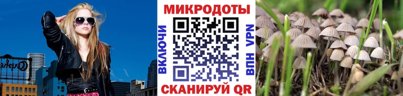 blacksprut ссылки  Боровичи  Галлюциногенные грибы GOLDEN TEACHER 