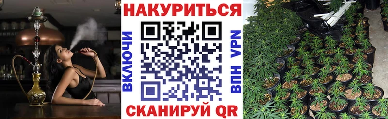 Бошки Шишки Bruce Banner  Боровичи 
